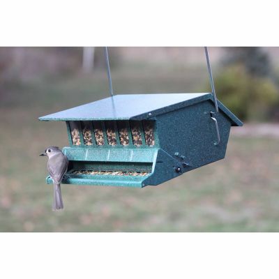 Image showing  9 lb. Original Bird's Choice Squirrel-Resistant Bird Feeder
