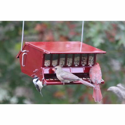 Image showing  9 lb. Reflective Bird's Choice Squirrel-Resistant Bird Feeder, Red