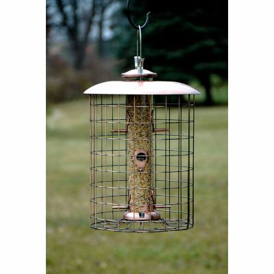 Woodlink 6-Port Brushed Copper Caged Seed Bird Feeder, 1.25 lb. Capacity Bird feeder that works as advertised