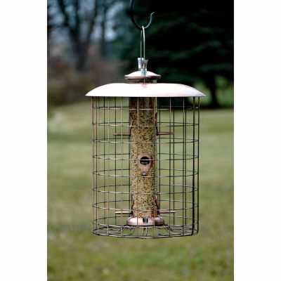 Woodlink 6-Port Brushed Copper Caged Seed Bird Feeder, 1.25 lb. Capacity