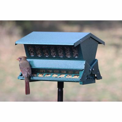 Image showing  12 lb. Absolute II Squirrel-Resistant Bird Feeder