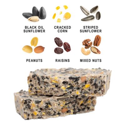 Image showing  High-Energy Woodpecker Suet Cake