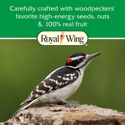 Image showing  High-Energy Woodpecker Suet Cake