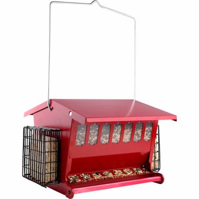 Audubon Seeds N' More Double Sided Hopper Bird Feeder with Suet Holders, 15 lb. Capacity Seems to work well and holds a good amount of seed