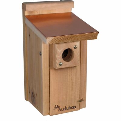 Audubon Coppertop Bluebird House, 6-9/14 in. x 8-1/7 in. x 12-9/14 in