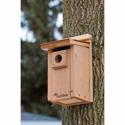 Image showing  Coppertop Bluebird House, 8.14 in. x 6.64 in. x 12.64 in.