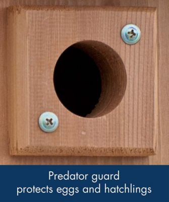 Image showing  Coppertop Bluebird House, 8.14 in. x 6.64 in. x 12.64 in.