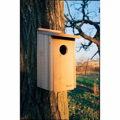 Image showing  Wood Screech Owl/Kestrel Bird House, 13 in. x 8.75 in. x 19.75 in.