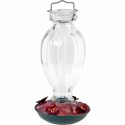 Audubon Fluted Glass Hummingbird Feeder 20 Oz At Tractor