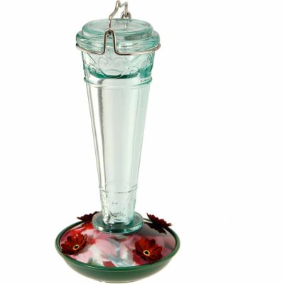 Audubon Torchiere Glass Hummingbird Feeder 8 Oz At Tractor