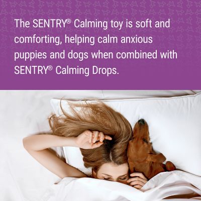 Image showing  Calming Toy for Dogs