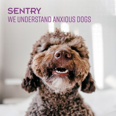 Image showing 5 th Sentry Calming Toy for Dogs
