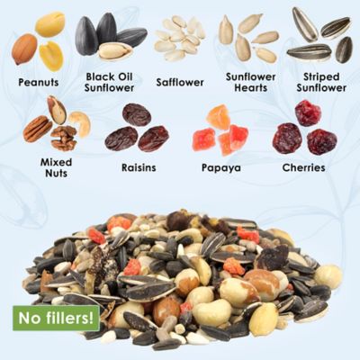 Image showing  Gourmet Nut and Fruit Blend Wild Bird Food