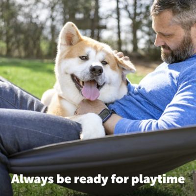 Image showing  9V Alkaline Dog Collar Battery