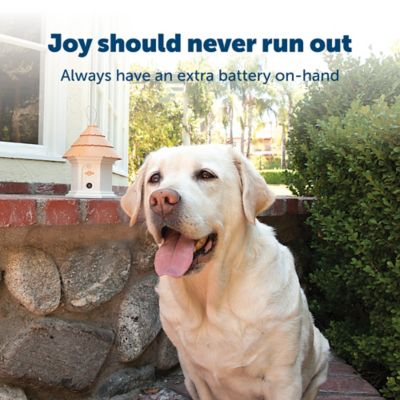 Image showing  9V Alkaline Dog Collar Battery