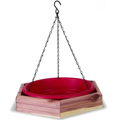 Royal Wing Cedar Hanging 2-in-1 Bird Bath and Feeder, 4 lb. Capacity at  Tractor Supply Co.