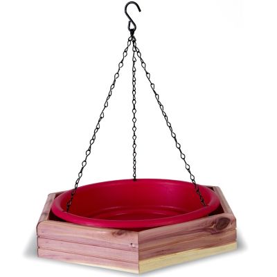 Royal Wing Cedar Hanging 2-in-1 Bird Bath and Feeder, 4 lb. Capacity