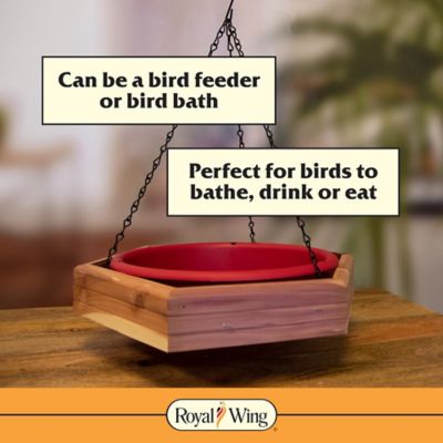 Image showing  4 lb. Cedar Hanging 2-in-1 Bird Bath and Feeder