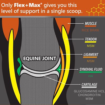 Image showing  Flex+Max Joint Health Pelleted Horse Supplement, 10 lb., 60 Day Supply