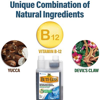 Image showing  Bute-Less Comfort and Recovery Supplement Solution, 32 oz.