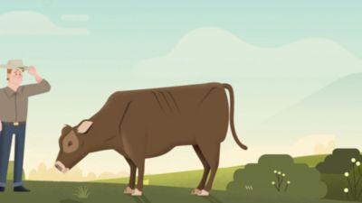 Image showing  Livestock Dewormer Suspension