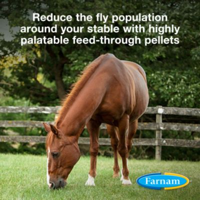 Image showing  SimpliFly Feed-Thru Fly Control with LarvaStop Fly Growth Regulator Livestock Supplement, 10 lb.