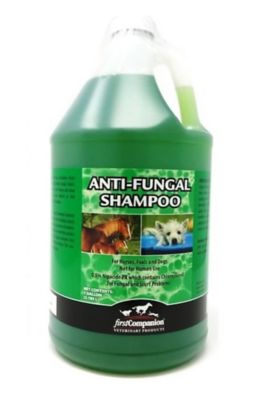 Benzoyl peroxide dog shampoo tractor supply best sale