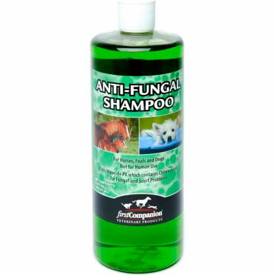 anti yeast dog shampoo