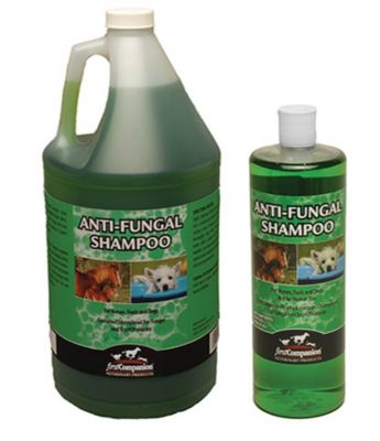 Image showing  Anti-Fungal Horse Shampoo, 32 oz.
