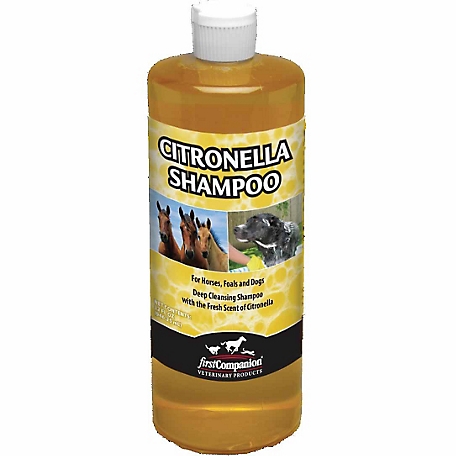 First Companion Citronella Horse Shampoo, 32 oz.