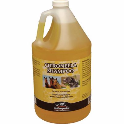 citronella shampoo for dogs