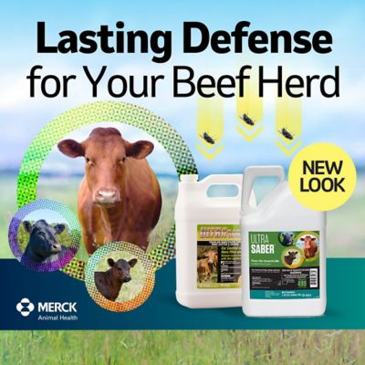 Image showing  Ultra Saber Pour-On Livestock Insecticide, 30 oz.