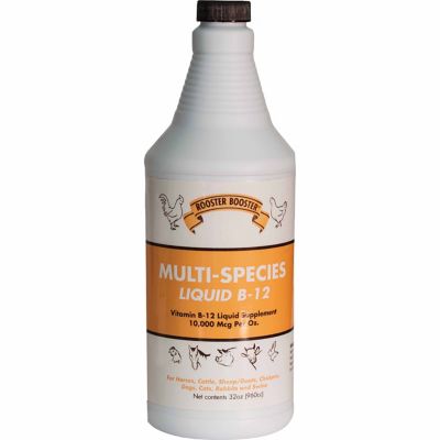 Rooster Booster TDL Industries Multi Species Liquid B12 Livestock Supplement, 32 oz. Are use this for all of my animals not just chickens I’ve used it on dogs cats rabbits even my little calf who went down during the cold we had here in Texas it is a great vitamin booster and hydrator for small animals