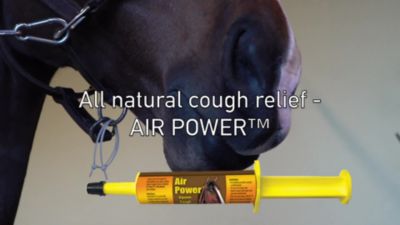 Image showing  Air Power Natural Equine Cough Syrup, 16 oz.