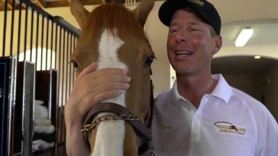 Image showing  Fluid Action HA Liquid Equine Joint Health Supplement, 32 oz.