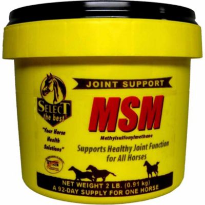 Select The Best Richdel MSM Anti-Inflammatory Horse Supplement Powder, 2 lb.