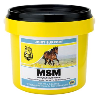 Image showing  Richdel MSM Anti-Inflammatory Horse Supplement Powder, 2 lb.