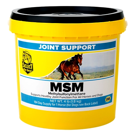 Select The Best Richdel MSM Anti-Inflammatory Horse Supplement, 4 lb.
