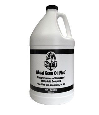 Image showing  Wheat Germ Oil Plus Horse Supplement, 1 gal.