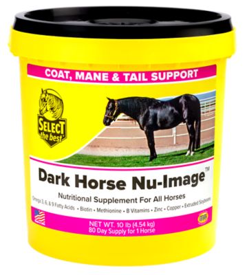 Image showing  Dark Horse Nu Image Hoof and Coat Support Supplement, 10 lb.
