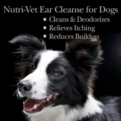 Image showing  Ear Cleanse for Dogs, 8 oz.