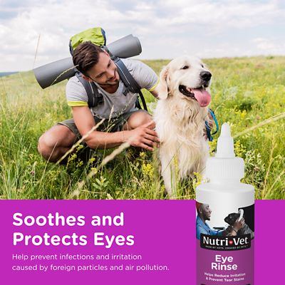 Image showing  Eye Wash for Dogs, 4 oz.