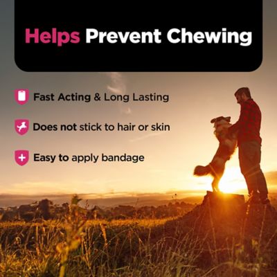 Image showing  Self-Adhering Bitter Dog Bandage, 2 in.