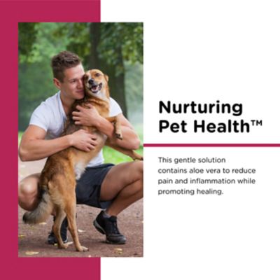 Image showing  Bitter Pet Bandage for Dogs, 3 in.