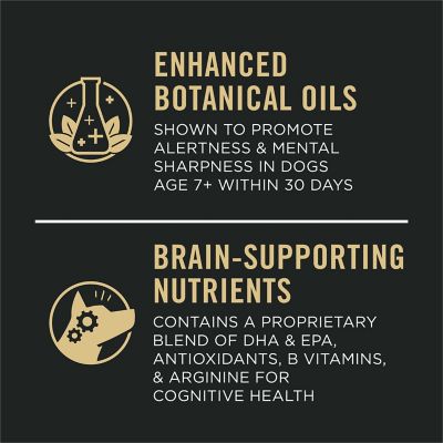 Image showing  Bright Mind Chicken & Rice Formula Senior Dry Dog Food