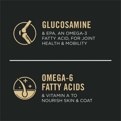 Image showing  Bright Mind Chicken & Rice Formula Senior Dry Dog Food