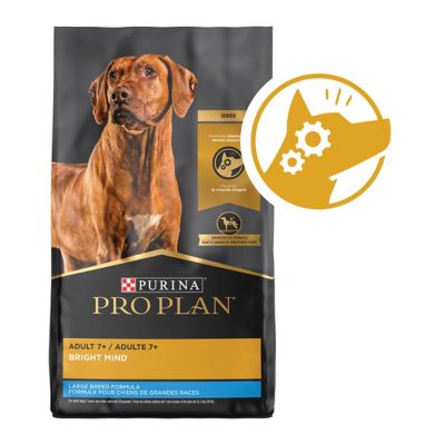 pro plan bright mind