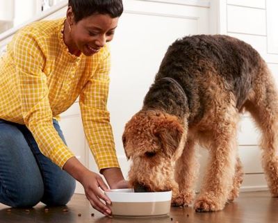 Image showing  Puppy Grain-Free High-Protein Real Chicken Recipe Dry Dog Food
