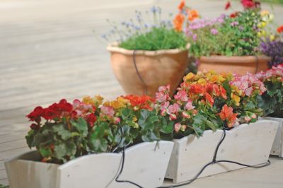 Image showing  Genesis 12 ft. Dripper Watering Kit