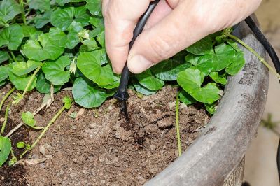 Image showing  Genesis 12 ft. Dripper Watering Kit